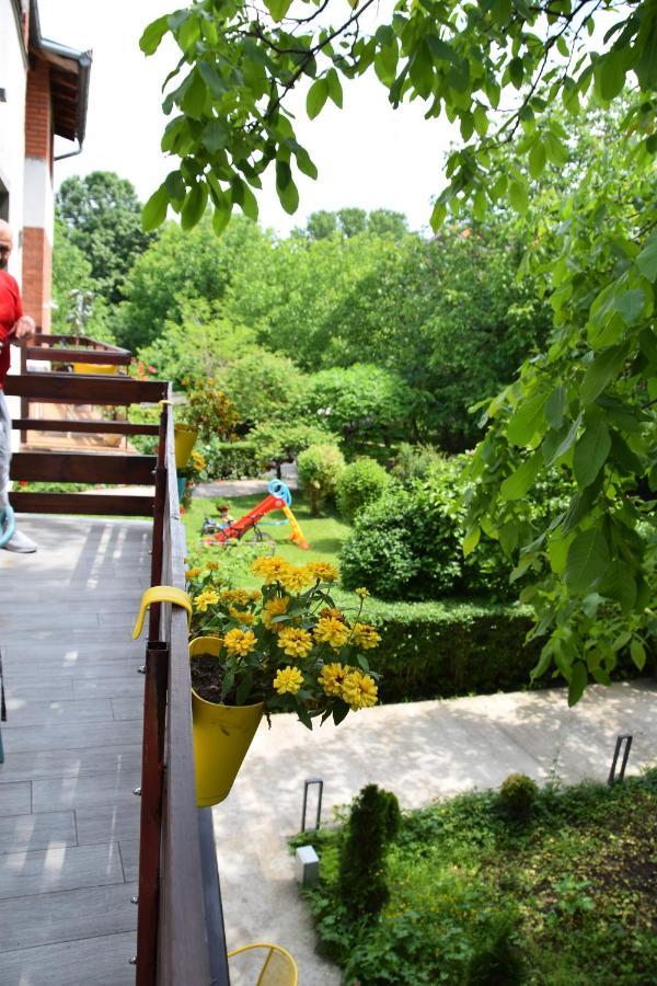 Sms Studios Sokobanja Exterior foto